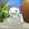 皮皮虾lite版